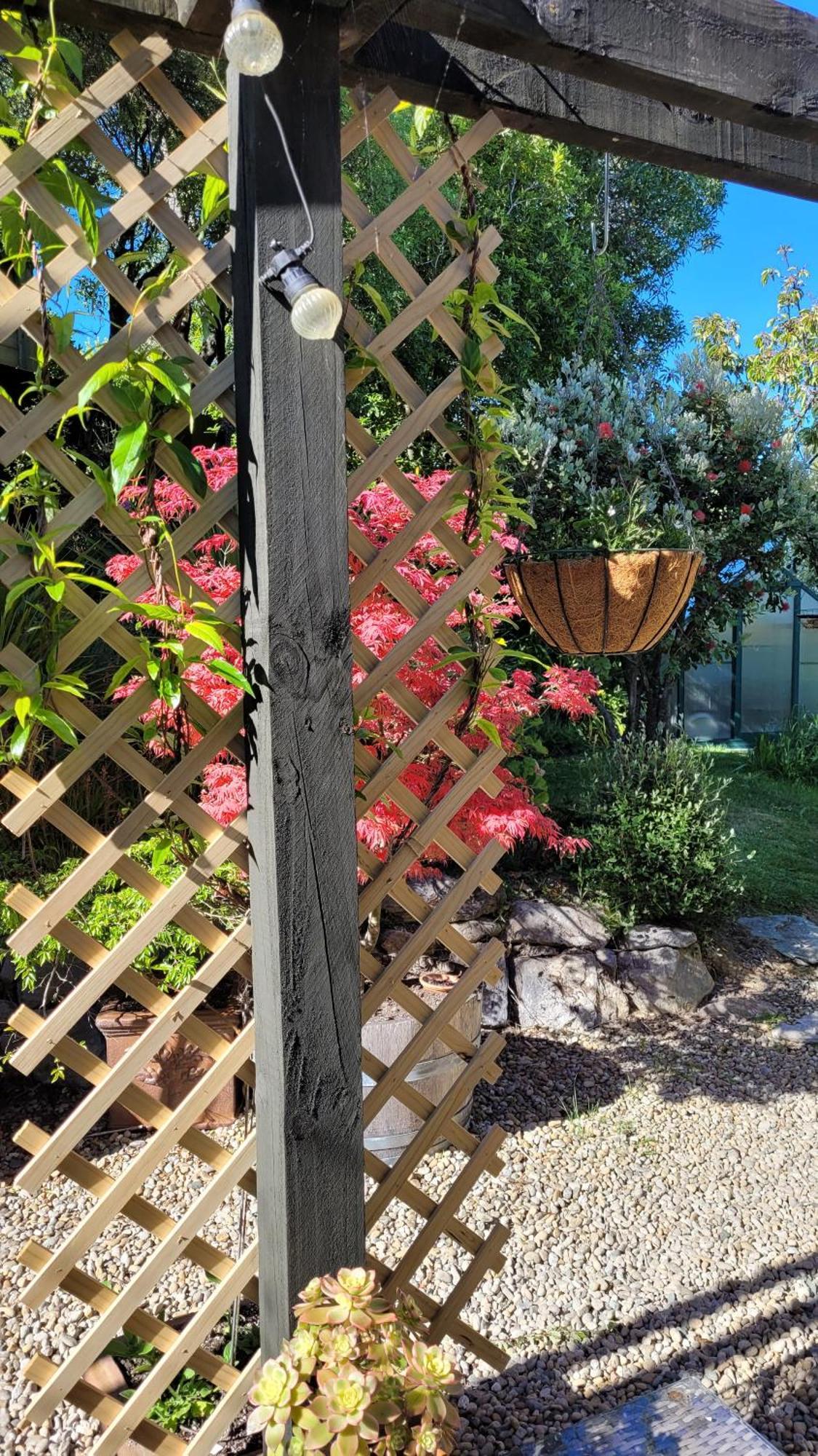 Bed and Breakfast Hazelwood Mapua Esterno foto