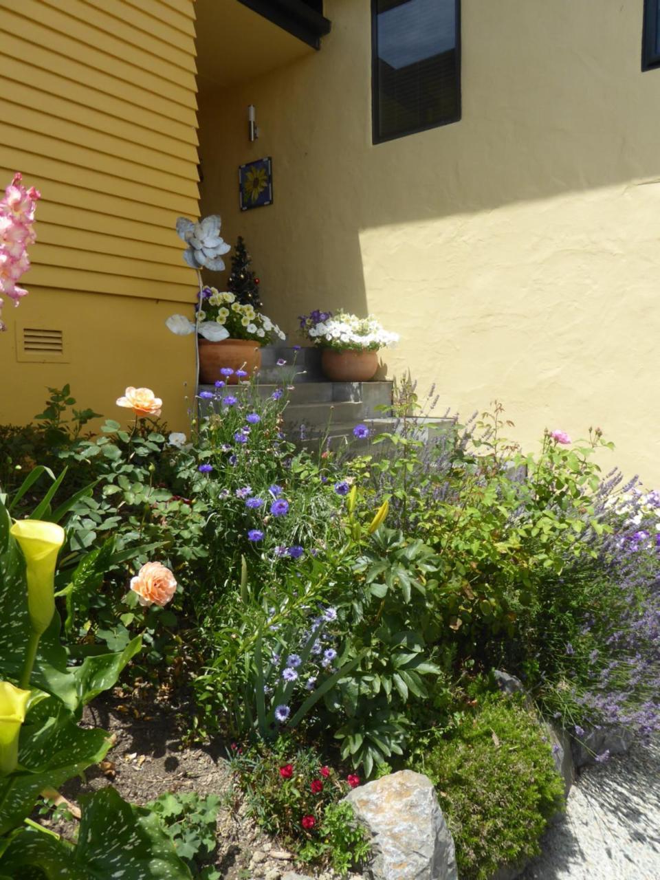 Bed and Breakfast Hazelwood Mapua Esterno foto